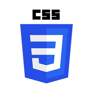 css3 logo piccolo